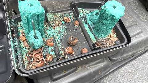 Checking for Mouse entry points | Full Mouse control 🐭