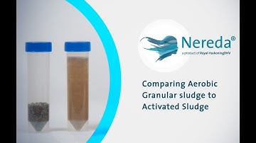 Sludge Settling I - Nereda® | Royal HaskoningDHV
