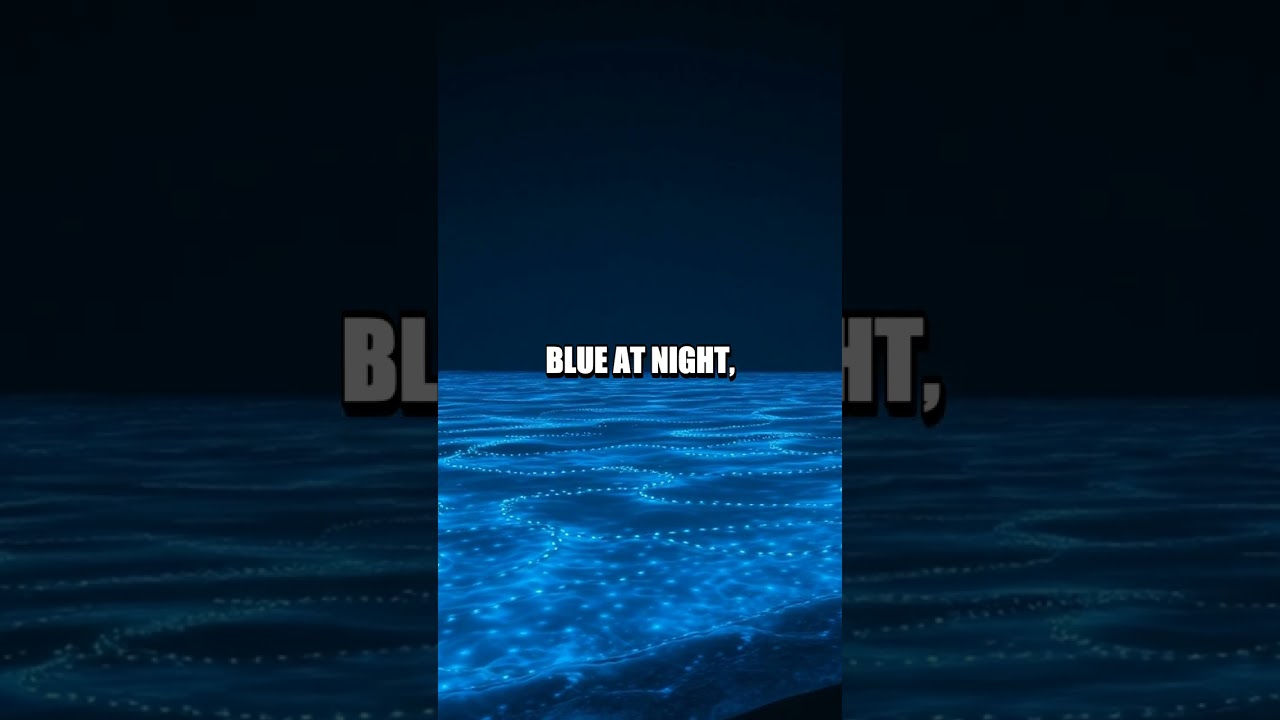 Unseen Marvels of Our World in 50 Seconds