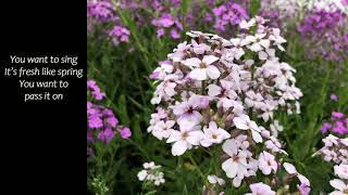 It Only Takes A Spark pass It On