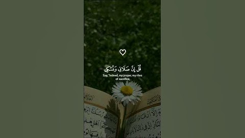 قل إن صلاتي ونُسكي ومحياي ومماتي | ياسر الدوسري | سورة الانعام