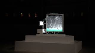 Raw footage GASP at Flow Festival
