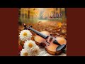 ចង់បានគូរស្នេហ៍ Chong Ban Kou Snea (Solo instruments)