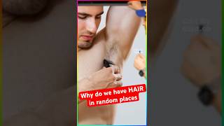 Why do we have HAIR in random places??