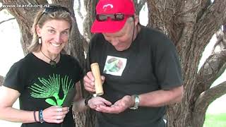 Learnz Online Field Trips