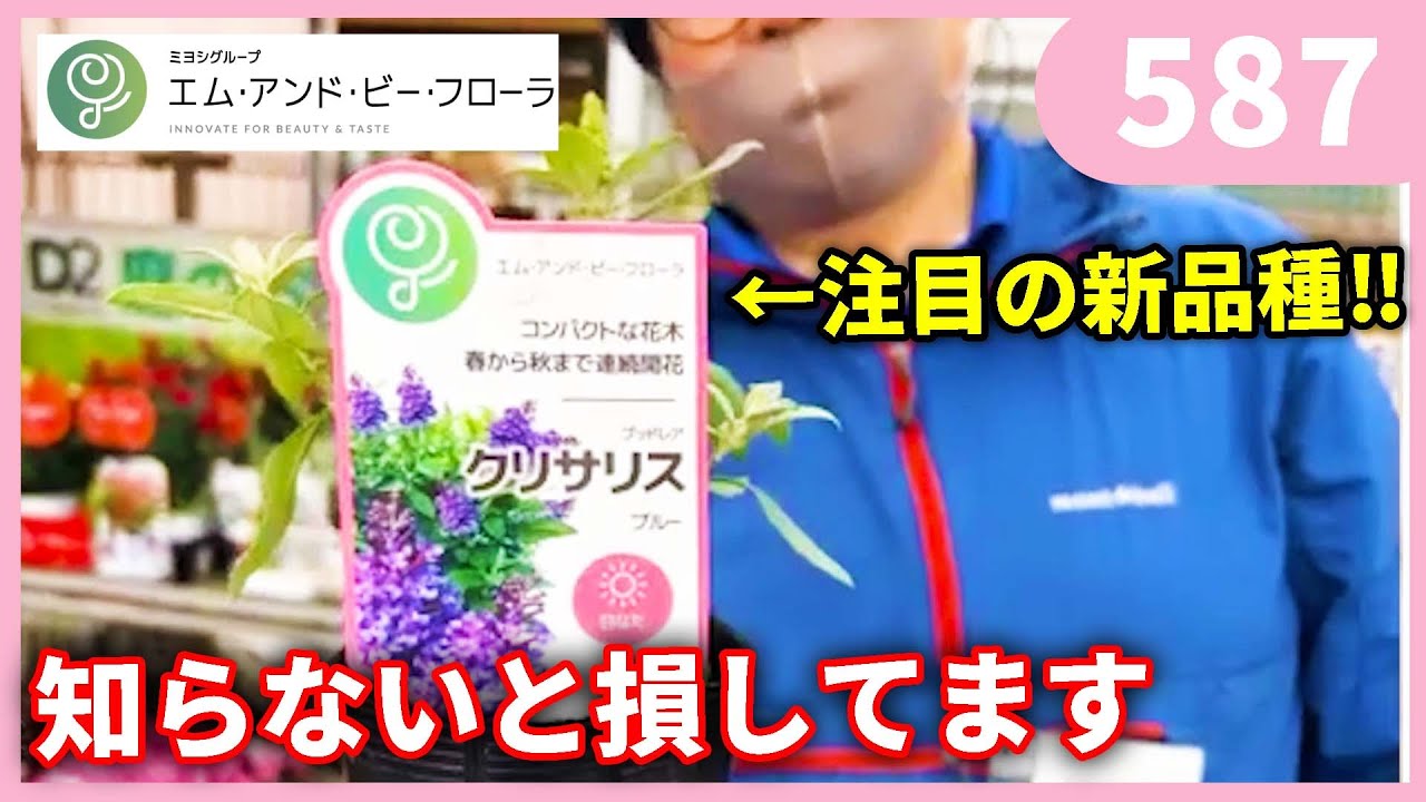 Spring/Summer 2023 [Part 2] M&B Flora Recommended Flowers