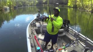 Perch  Jerkin! - North Georgia