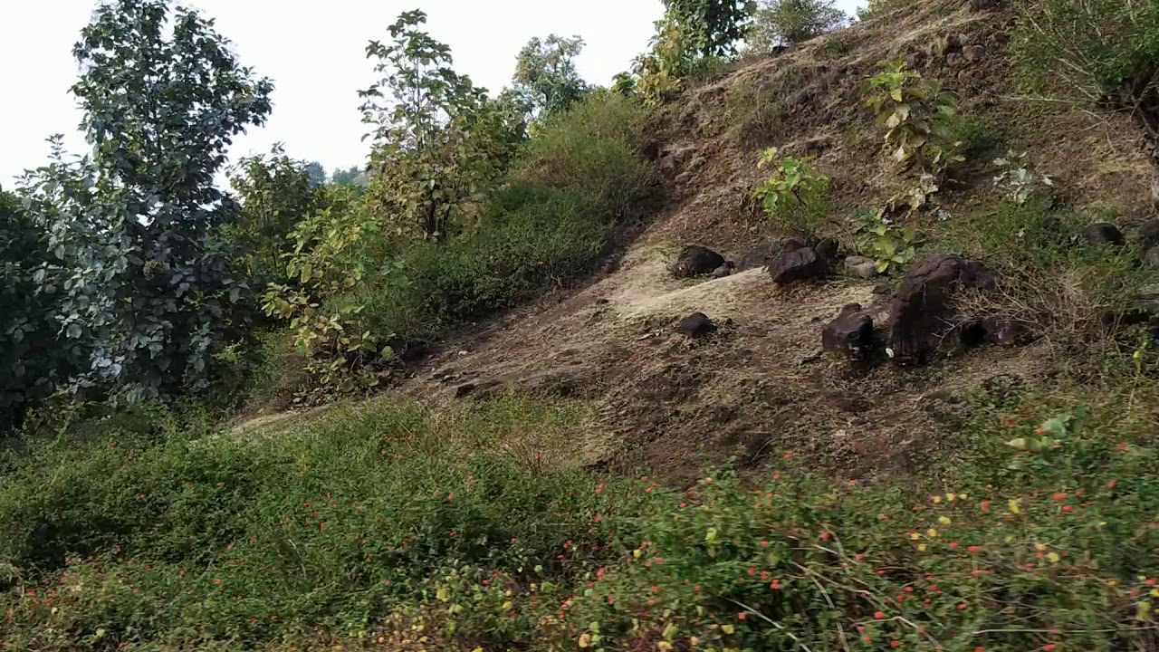 Tamia- Patalkot | तामिया - पातालकोट के नज़ारे