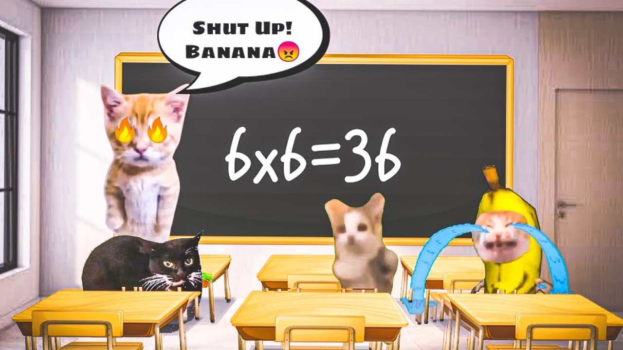 Banana Cat in Ohio💀 School Happy cat series episode 23 happycats