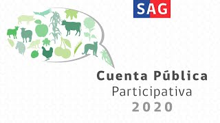 Cuenta Pública Participativa SAG 2020