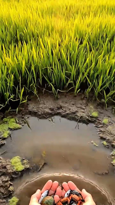 Both hands holding 202510110916 uxe1u