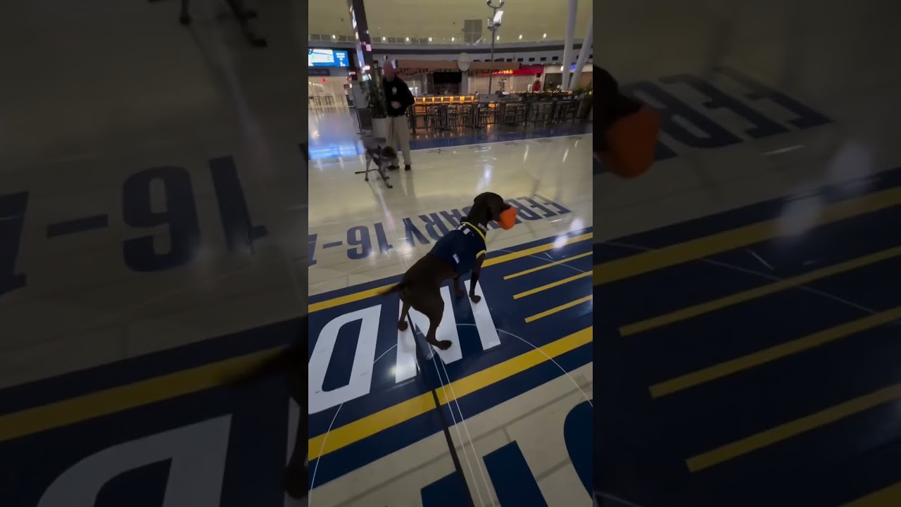 TSA Sports: It's in the game.  