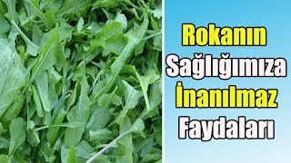 ROKANIN BİLİNMEYEN FAYDALARI !!!!