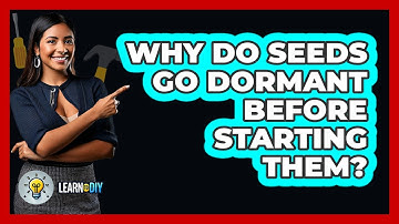 Why Do Seeds Go Dormant Before Starting Them? - LearnToDIY360.com