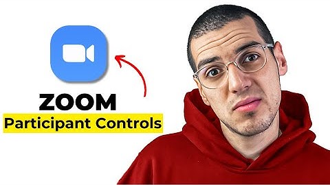 How to Manage Participant Controls in Zoom (2025) - Host & Co-Host Guide