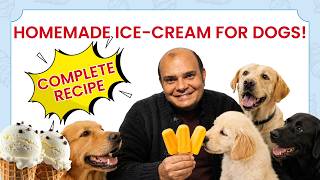 Homemade Ice Cream For Dogs - Complete Recipe By Baadal Bhandaari