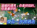 【Jack哥 】溫暖的遇見 : 你是特别的,你是最好的 ! 惾瓜一步跨過去 .....