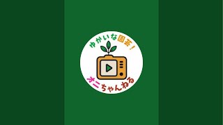 【メンバー限定】ランチLive