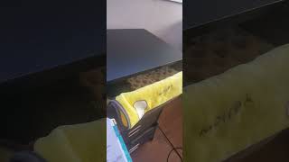 Precious Parakeet’s Drawer Pop Out and Dancing Skills