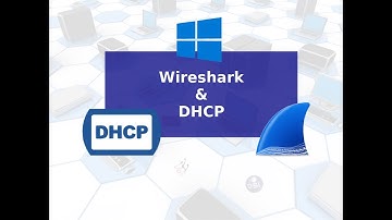 Captura y análisis de tráfico DHCP con Wireshark en Windows