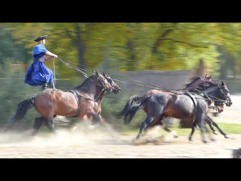 Видео: Венгерское конное шоу на Пусте