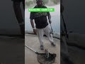 massive Catfish #shorts #short #youtubeshorts #india #fyp #fish #usa #like #love #fishing #subscribe