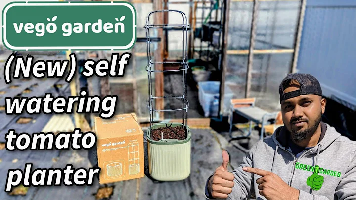 Vego Garden self watering tomato planter With Trellis | #unboxing #review #vegogarden #vegoplanter