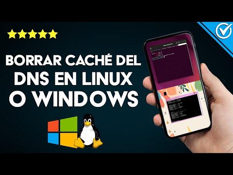 ¿Cómo borrar la caché del DNS en WINDOWS o LINUX? - Libera almacenamiento