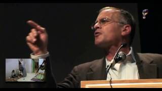 The Holocaust, Israel and Norman Finkelstein