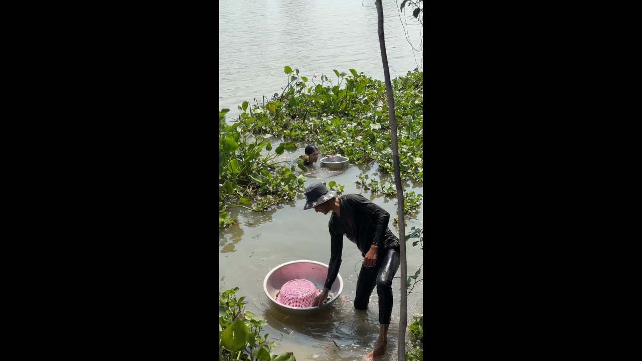 គោលបំណងរាវលៀសមកប្រលាក់ហាល តែចុងក្រោយបែរជាបានគ្រុំទៅវិញ