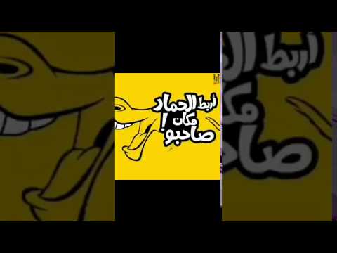 مهرجان هلا والله على الرخيصه كلبه الجنيه حمو بيكا فيلو ابو ليله حاله واتس