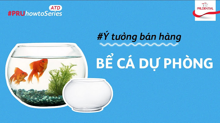 Hệ thống ngân hàng câu hỏi áp thuế bao nhiêu