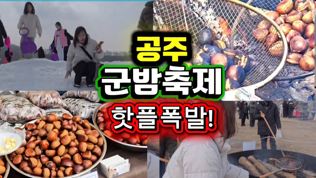 공주군밤축제… 직접 구워 먹어봤습니다 🌰🔥 (이건 다릅니다)#공주군밤축제#공주여행#충남여행#겨울축제#군밤체험#공주가볼만한곳#직화군밤#국내여행#겨울간식#여행브이로그