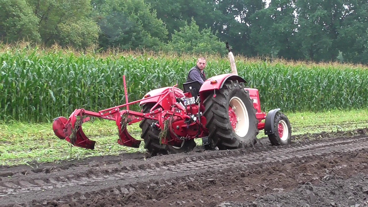Feldtag Nordhorn 2017 IHC 523 mit Beetpflug Pflügen