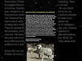 A Stray Dog Became A WWI Sergeant #WWI #DogHero #Shorts