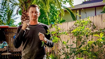 VULTURE KARAMBITS Vlog Q&A