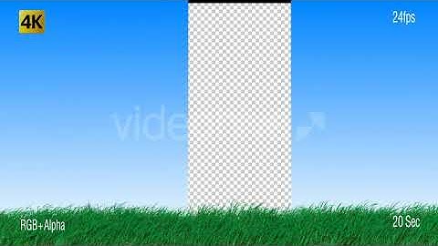 Grass | Motion Graphics - Envato elements