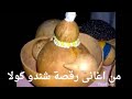 شندو كولا 