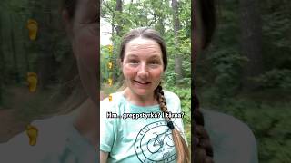 Krama Tallkottar I Ekskogen - Barfotavandring Över Mjuk Mossa Och Bulliga Rötter