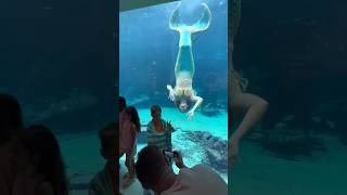 Mermaid photo op through the glass🤩 He got a cool picture, don’t u think? #mermaid #mermaids #wow