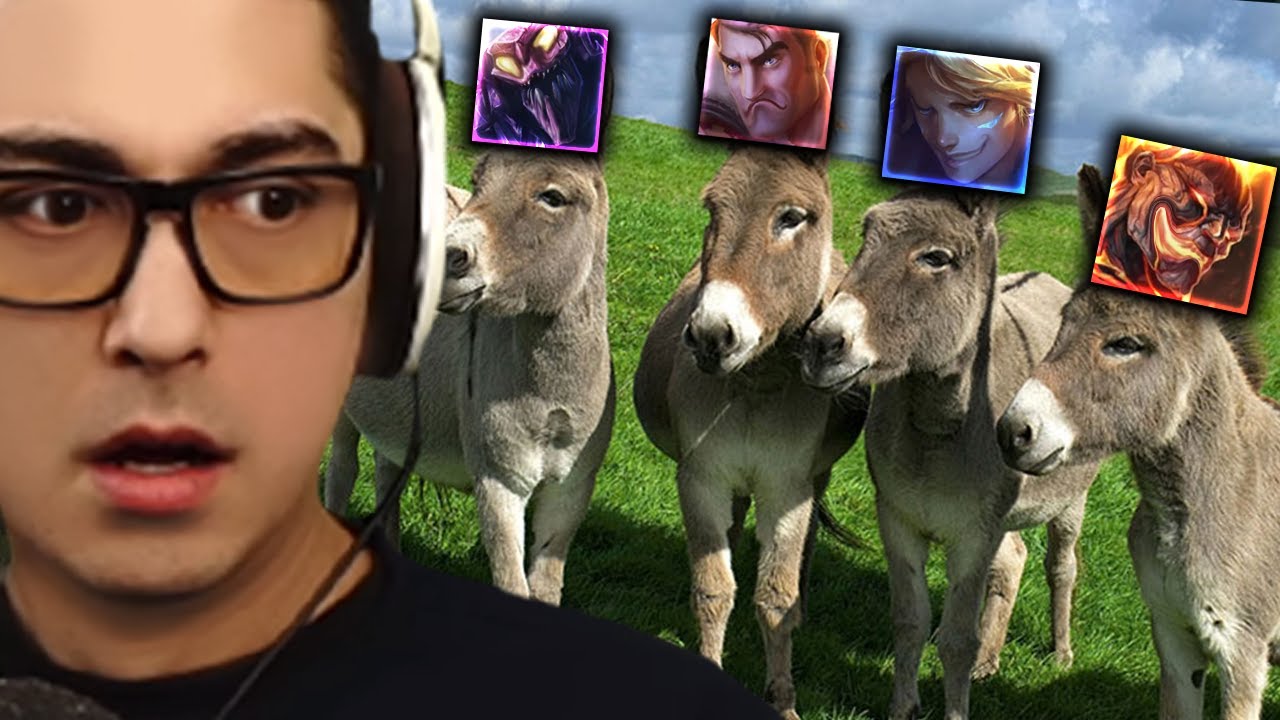 PLAYING WITH 4 DONKEYS