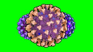 Corona Virus Animation - Free Green Screen Effect