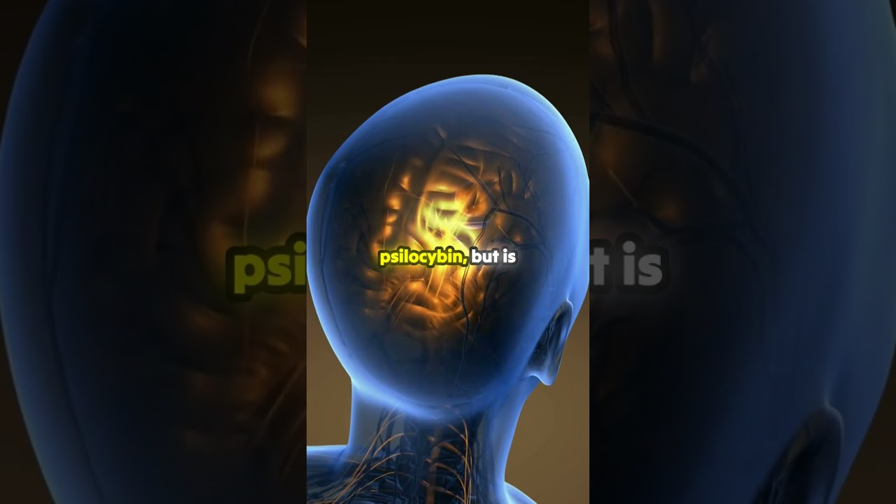 Unlocking the Future of Mental Health: DMT for Depression!