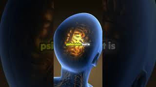 Unlocking the Future of Mental Health: DMT for Depression!