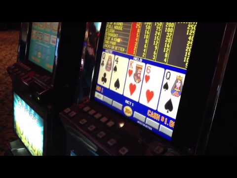 Fundy gambles at the Golden Acorn Casino