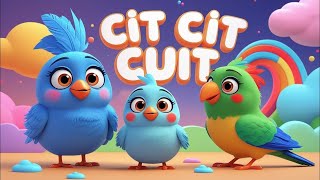 CIT CIT CUIT | TEK KOTEK | 5 BEBEK KECIL BERMAIN | SUARA BINATANG | BIRNA KIDS
