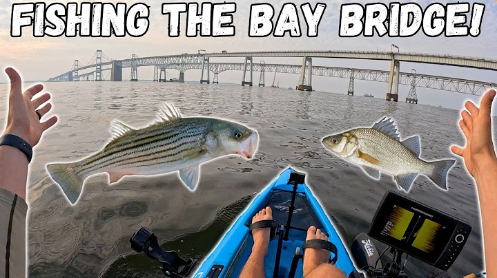 FISHING The CHESAPEAKE BAY BRIDGE! Kayak Fishing For STRIPED BASS And WHITE PERCH!
