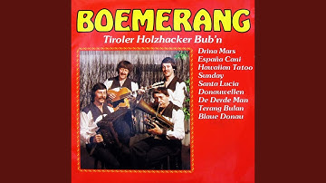 Tiroler Holzhacker Bub'n
