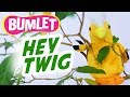 Hey Twig, Hey Twig | Original Educational Children Rhyme on Tree Leaves | Bumlet Rhymes