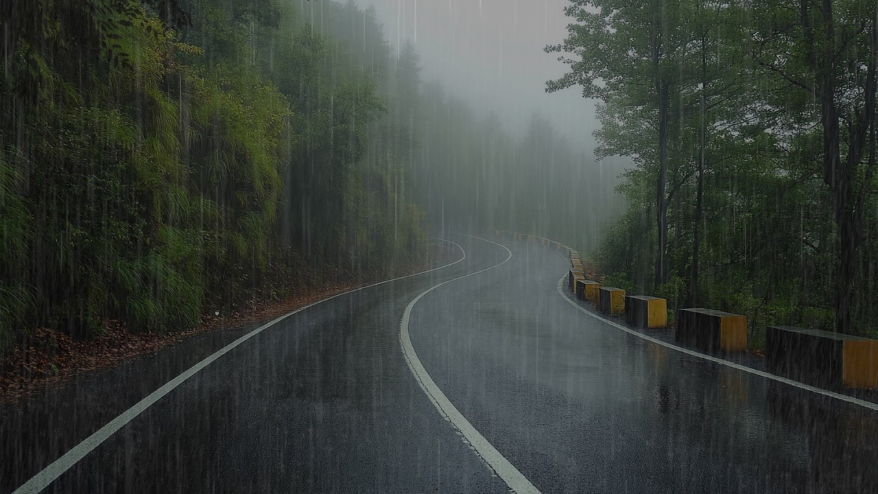 Deep Sleep with Heavy Rain and Distant Thunder on an Forest Road  at Night
